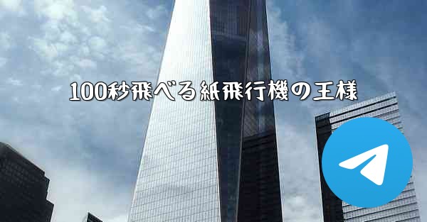 100秒飛べる紙飛行機の王様