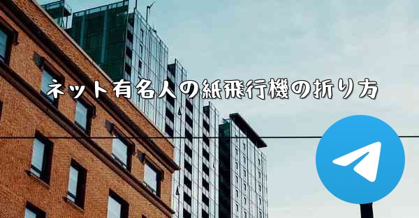 ネット有名人の紙飛行機の折り方