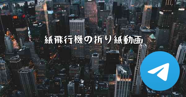 <b>紙飛行機の折り紙動画</b>