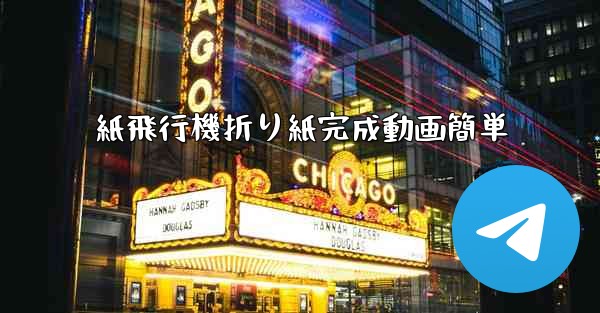紙飛行機折り紙完成動画簡単