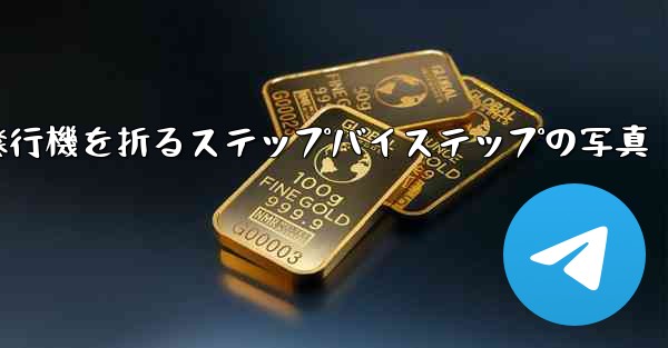 紙飛行機を折るステップバイステップの写真