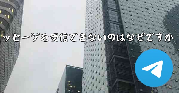 <b>Paper Plane が確認テキスト メッセージを受信できないのはなぜですか</b>