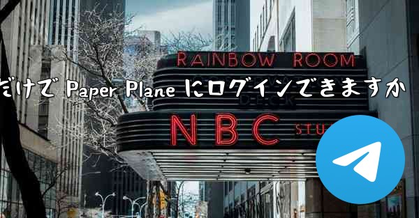 携帯電話番号だけで Paper Plane にログインできますか