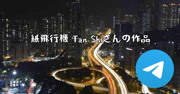 <b>紙飛行機 Tan Shiさんの作品</b>