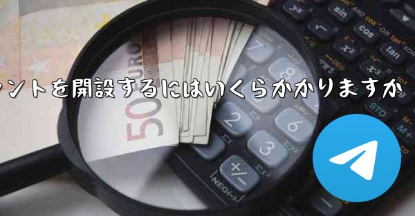紙飛行機のアカウントを開設するにはいくらかかりますか