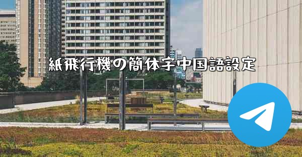 紙飛行機の簡体字中国語設定