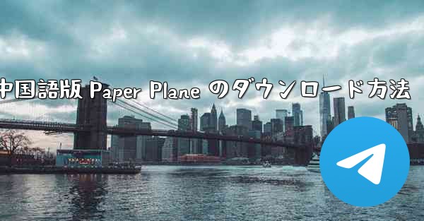 中国語版 Paper Plane のダウンロード方法
