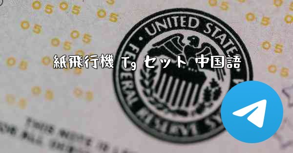 紙飛行機 Tg セット 中国語