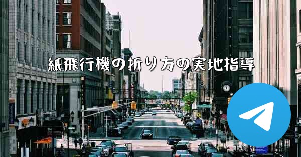 紙飛行機の折り方の実地指導