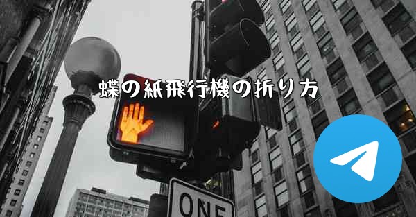 蝶の紙飛行機の折り方