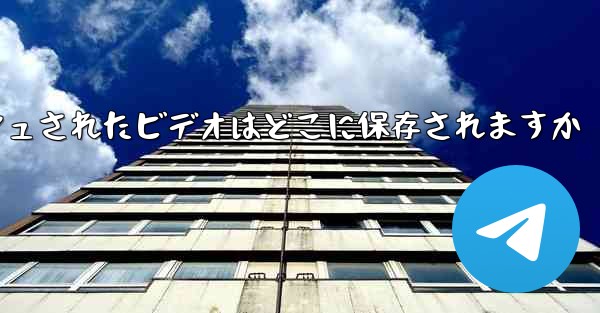 Paper Plane のキャッシュされたビデオはどこに保存されますか