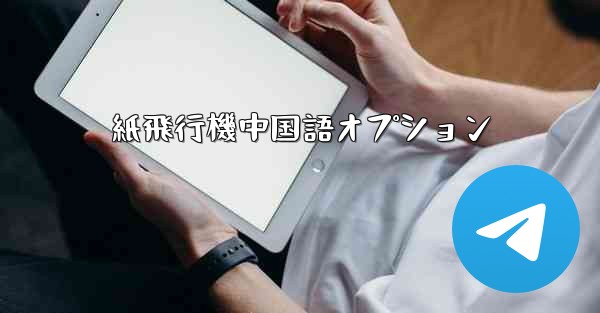 紙飛行機中国語オプション