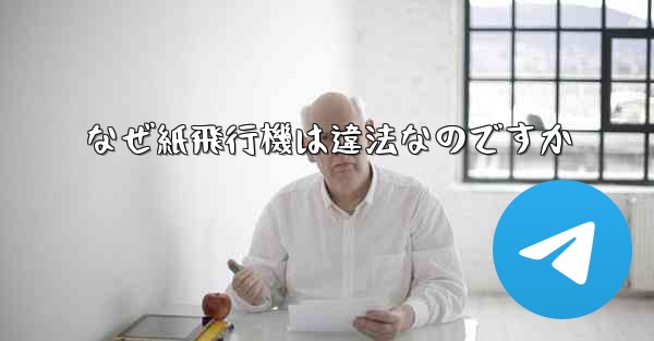 <b>なぜ紙飛行機は違法なのですか</b>