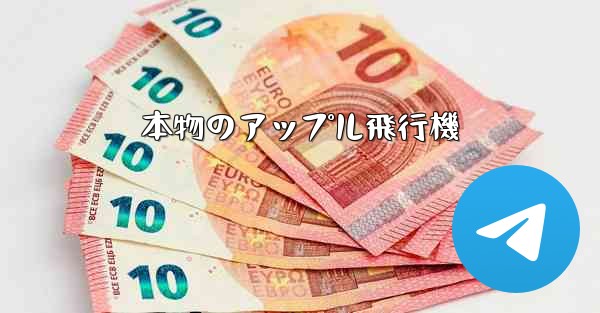 本物のアップル飛行機