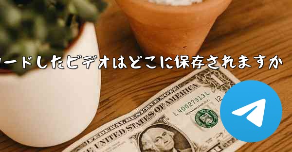 飛行機からダウンロードしたビデオはどこに保存されますか