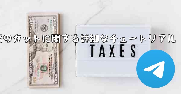 ティッシュペーパー飛行機のカットに関する詳細なチュートリアル