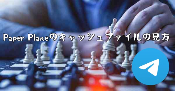 Paper Planeのキャッシュファイルの見方