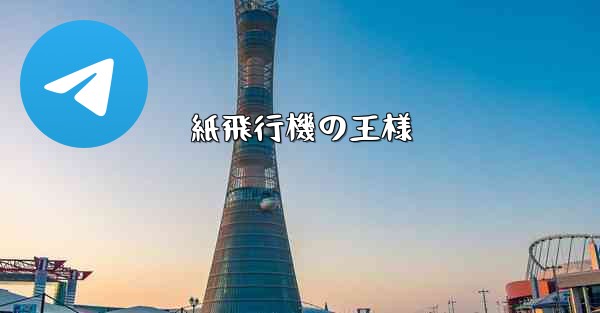 紙飛行機の王様