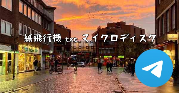 紙飛行機 txt マイクロディスク