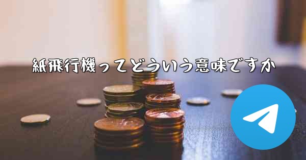 紙飛行機ってどういう意味ですか