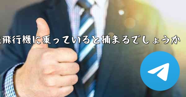 中国で紙飛行機に乗っていると捕まるでしょうか