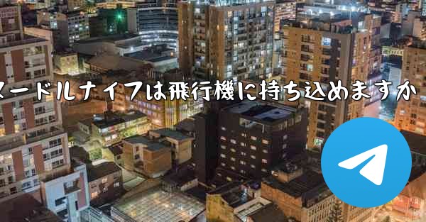 ヌードルナイフは飛行機に持ち込めますか