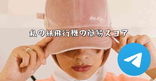 私の紙飛行機の簡易スコア