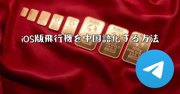 iOS版飛行機を中国語化する方法