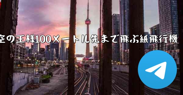 <b>空の王様100メートル先まで飛ぶ紙飛行機</b>