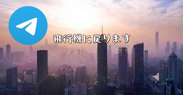 飛行機に戻ります