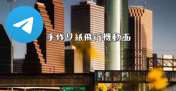 手作り紙飛行機動画