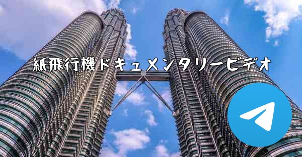 紙飛行機ドキュメンタリービデオ