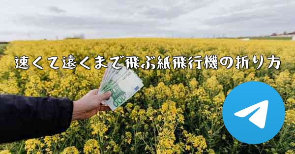 <b>速くて遠くまで飛ぶ紙飛行機の折り方</b>