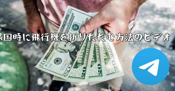 帰国時に飛行機を折りたたむ方法のビデオ