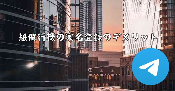 <b>紙飛行機の実名登録のデメリット</b>