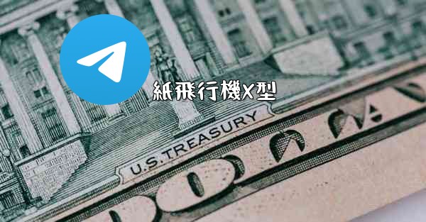 紙飛行機X型