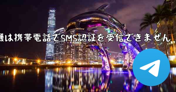 <b>紙飛行機は携帯電話でSMS認証を受信できません</b>