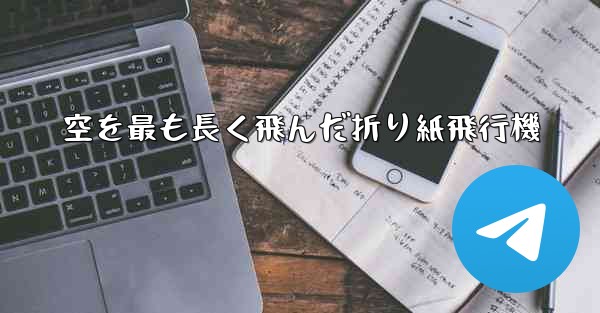 空を最も長く飛んだ折り紙飛行機