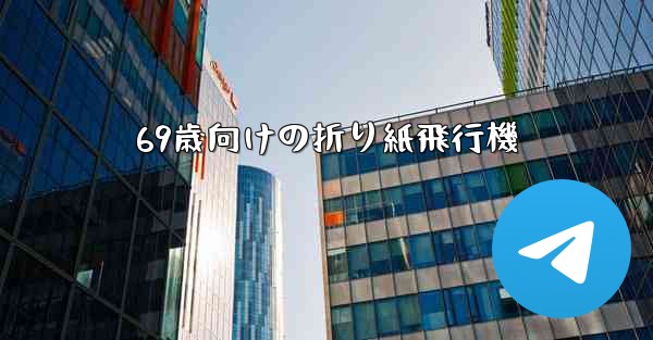 69歳向けの折り紙飛行機