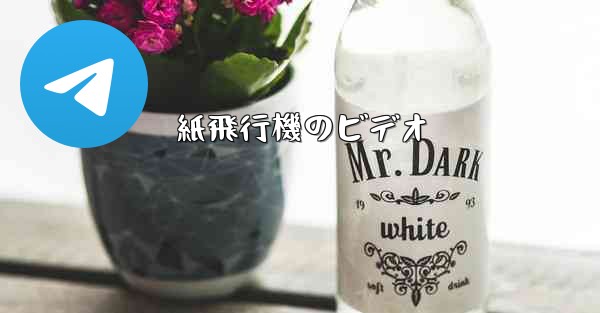 紙飛行機のビデオ