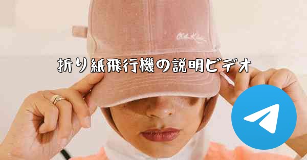 折り紙飛行機の説明ビデオ