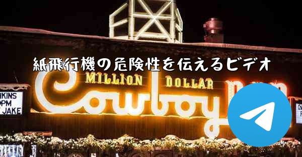 紙飛行機の危険性を伝えるビデオ