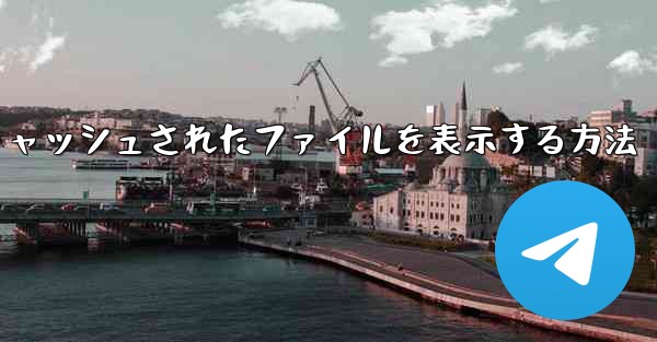 紙飛行機でキャッシュされたファイルを表示する方法