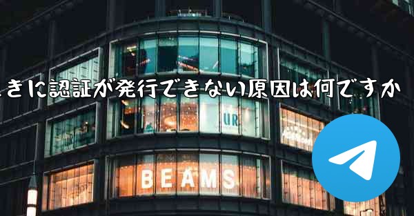 飛行機にログインするときに認証が発行できない原因は何ですか