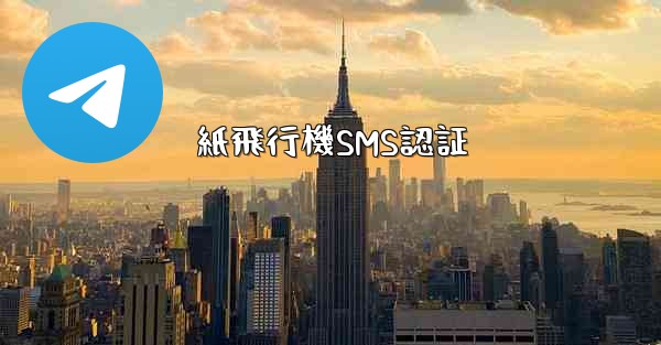 紙飛行機SMS認証