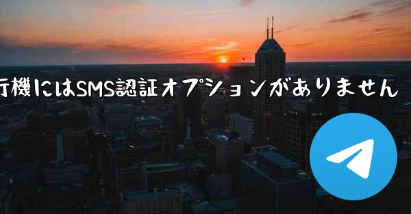 紙飛行機にはSMS認証オプションがありません