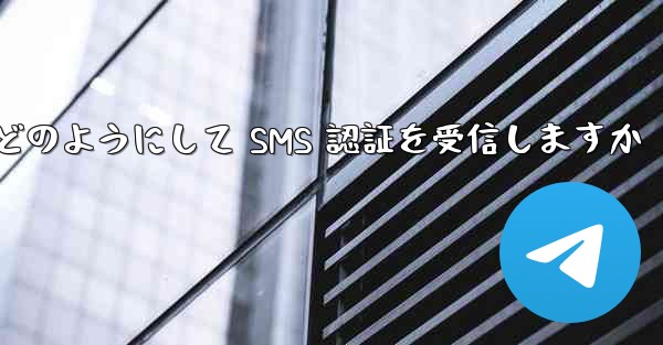 Paper Plane はどのようにして SMS 認証を受信しますか