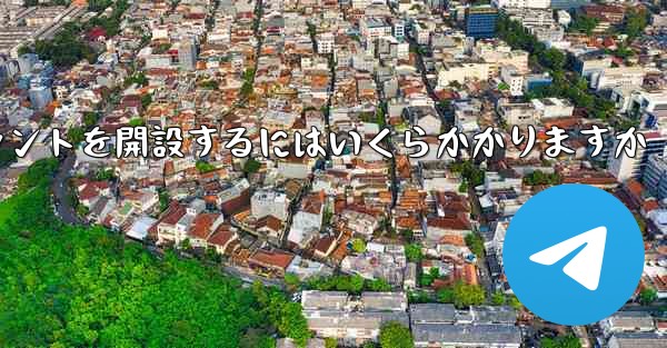 紙飛行機のアカウントを開設するにはいくらかかりますか