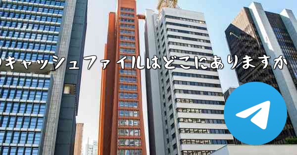 Mobile Paper Planeのキャッシュファイルはどこにありますか