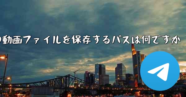 紙飛行機の動画ファイルを保存するパスは何ですか